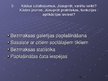 Presentations 'Aptauja par sociālajiem portāliem', 10.