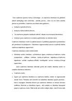 Research Papers 'SIA dibināšana, funkcionēšana, reorganizācija un likvidācija', 8.