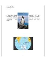 Research Papers 'Penguins', 2.