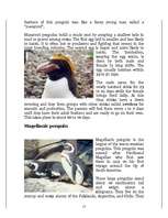 Research Papers 'Penguins', 15.