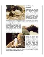 Research Papers 'Penguins', 17.