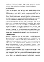 Summaries, Notes 'Korinnas Smitas un Lizas Strikas grāmata “Mācīšanās traucējumi: no A līdz Z” - a', 6.