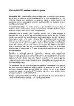 Essays 'Mazkapitāla SIA analīze un raksturojums', 1.