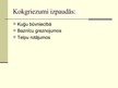 Presentations 'Baroka laika kokgriezumi Kurzemē', 3.