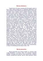 Research Papers 'Baroka laika arhitektūra', 1.