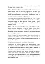 Essays 'Mīlēt grāmatu – tas ir meklēt sabiedrotos', 2.