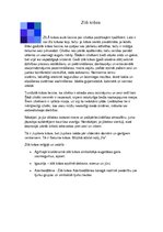 Research Papers 'Krāsu teorija veselībā, psiholoģijā, apģērbā un reliģijā', 9.