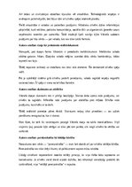 Summaries, Notes 'Ojārs Vācietis “Zibens pareizrakstība”', 14.