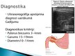 Presentations 'Pylorus stenoze', 15.