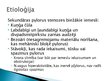 Presentations 'Pylorus stenoze', 26.