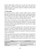 Business Plans 'AI klientu atbalsta asistenta ieviešana Latvijas e-veikalā', 5.