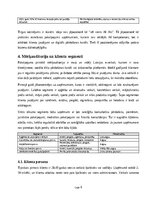 Business Plans 'AI klientu atbalsta asistenta ieviešana Latvijas e-veikalā', 6.