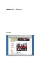 Research Papers 'E-commercial Activity Analysis on www.pykett-tractors.co.uk', 17.