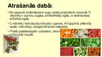 Presentations 'Askorbīnskābe (C vitamīns)', 4.