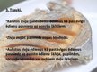 Presentations 'Saldūdens zivju ēdieni', 14.
