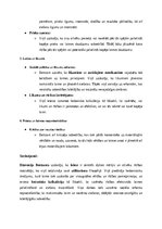 Summaries, Notes 'Tiesību teorijas, filozofijas un vēstures jautājumi', 82.