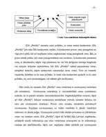 Research Papers 'Mazumtirdzniecības uzņēmuma darbības analīze un plānošana', 19.