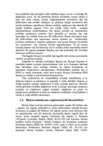 Term Papers 'Muitas maksājumu administrēšana Latvijas muitā', 12.