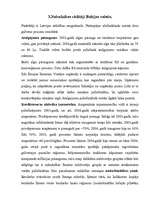 Research Papers 'Nabadzības mērīšana Latvijā un salīdzināšana ar citām valstīm', 17.