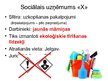 Presentations 'Sociālā uzņēmuma izveide Latvijā', 2.