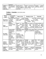 Practice Reports 'Kvalifikācijas prakse pirmsskolā 3. posms', 15.