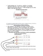 Summaries, Notes 'Asinsrites sistēmas funkcionālās daļas, asinsvadu veidi, to galvenās funkcijas', 9.