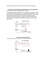 Summaries, Notes 'Asinsrites sistēmas funkcionālās daļas, asinsvadu veidi, to galvenās funkcijas', 10.