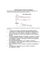 Summaries, Notes 'Asinsrites sistēmas funkcionālās daļas, asinsvadu veidi, to galvenās funkcijas', 11.