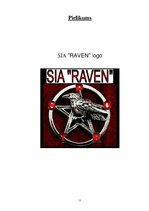 Business Plans 'SIA "Raven"', 15.