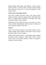 Essays 'Valoda kā domāšanas un kultūras veidotāja: starp tradicionālo un globālo', 2.