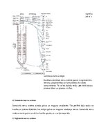 Summaries, Notes 'Nervu sistēma, tās iedalījumi', 3.