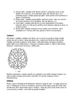 Summaries, Notes 'Atklātā nodarbība “Pārsteidzošās smadzenes”', 3.