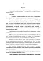 Term Papers 'Разработка пакета услуг в сфере телекоммуникаций', 1.
