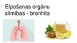 Presentations 'Bronhīts - elpošanas orgānu sistēmas slimība', 1.