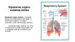 Presentations 'Bronhīts - elpošanas orgānu sistēmas slimība', 2.