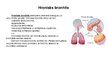 Presentations 'Bronhīts - elpošanas orgānu sistēmas slimība', 5.