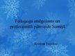 Research Papers 'Pedagogu atalgojuma sistēma un profesionālā pilnveide Somijā', 14.