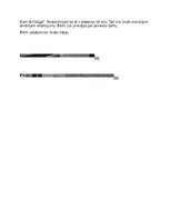 Summaries, Notes 'Integrētās rotļnodarbības plāns ar dabaszinību dominanti', 3.