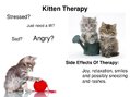 Presentations 'Animal-Assisted Therapy', 7.