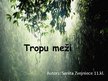 Presentations 'Tropu meži', 1.