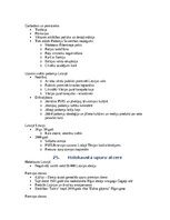 Summaries, Notes 'Komunikācijas vēstures konspekts priekš eksāmena', 29.