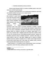 Research Papers 'Atkritumi, to radītais piesārņojums', 5.