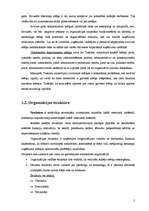 Research Papers 'Organizācijas ārējie un iekšējie vides faktori', 5.