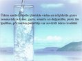 Presentations 'Dzeramā ūdens piesārņojums', 4.