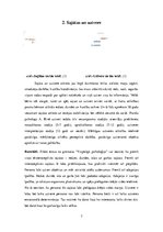 Summaries, Notes 'Personības psiholoģiskais raksturojums', 7.