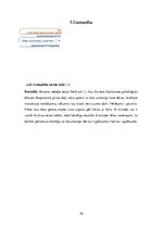 Summaries, Notes 'Personības psiholoģiskais raksturojums', 10.