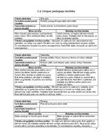 Practice Reports 'Agrīnās bērnības pedagoģijas prakse', 4.