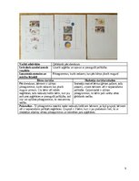 Practice Reports 'Agrīnās bērnības pedagoģijas prakse', 9.