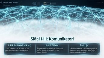 Presentations 'Neokorteksa arhitektūra, 6 apziņas slāņi', 3.