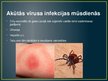 Presentations 'Vīrusu infekcijas', 6.